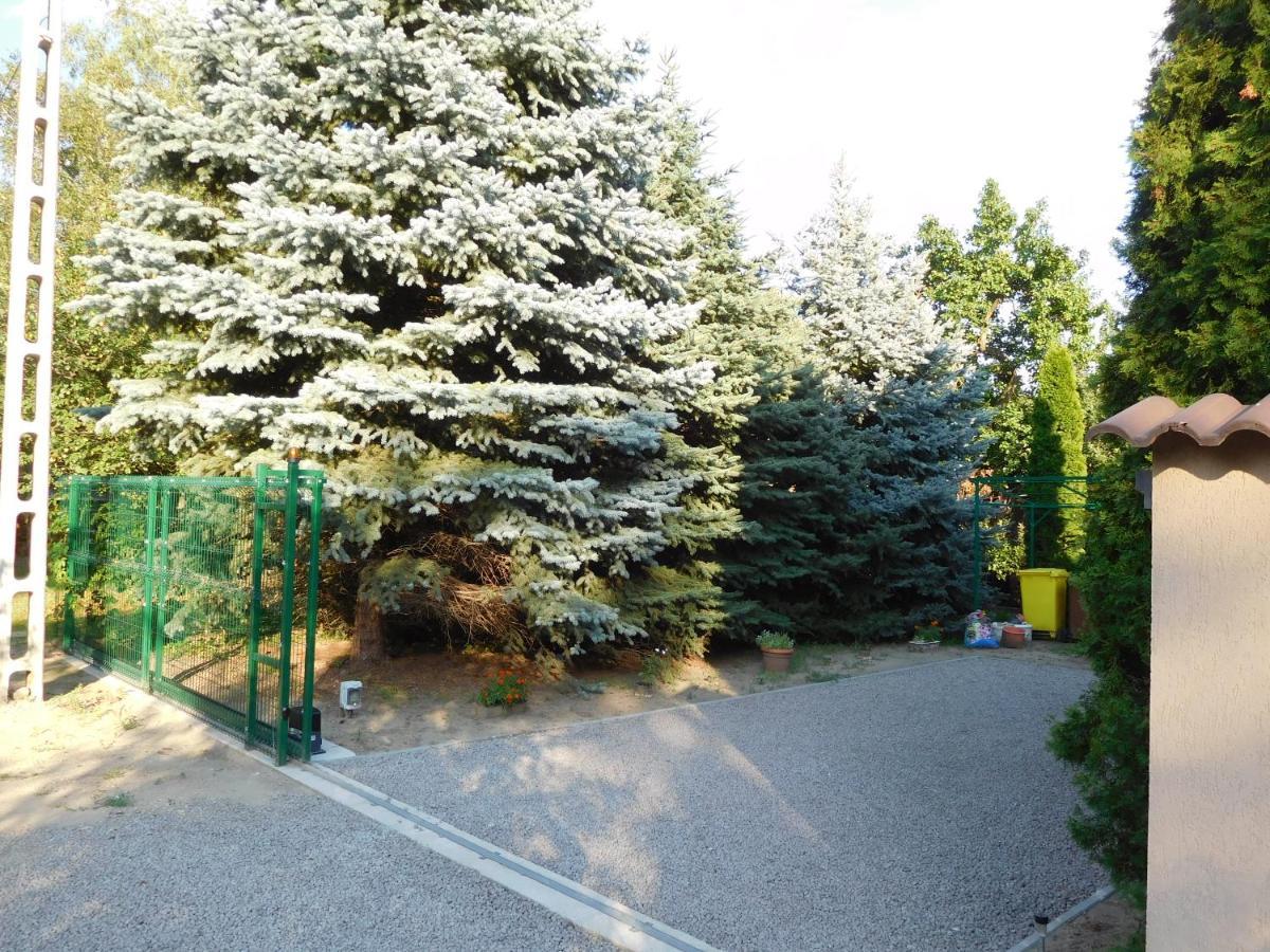 Golden Apartman Orosháza Екстериор снимка